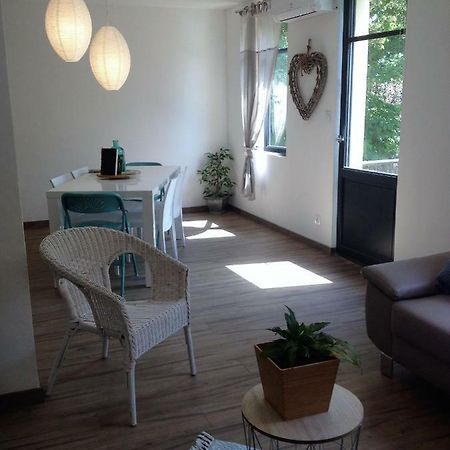 Au Vieux Lavoir Avec Parking Prive, Jardin , Climatisation, A 500 M De La Cite Каркассон Экстерьер фото