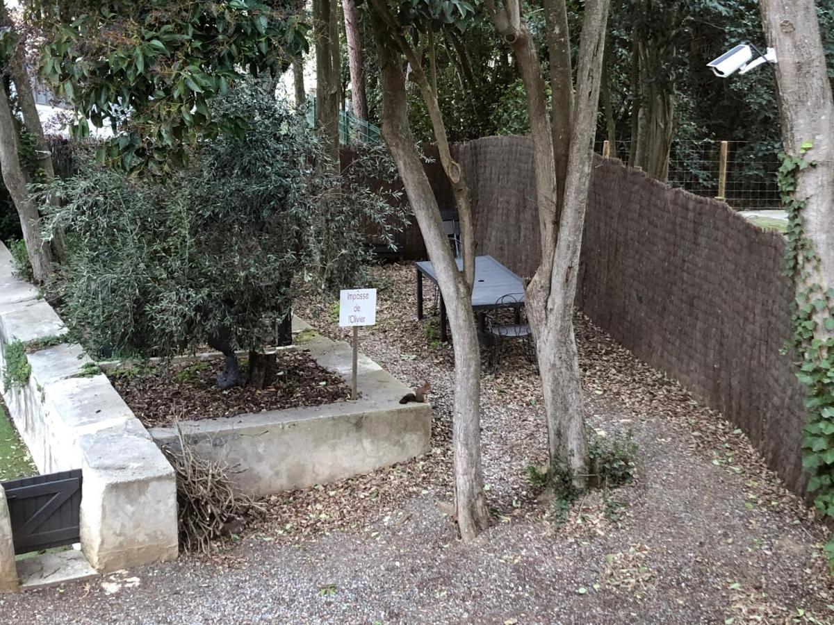 Au Vieux Lavoir Avec Parking Prive, Jardin , Climatisation, A 500 M De La Cite Каркассон Экстерьер фото