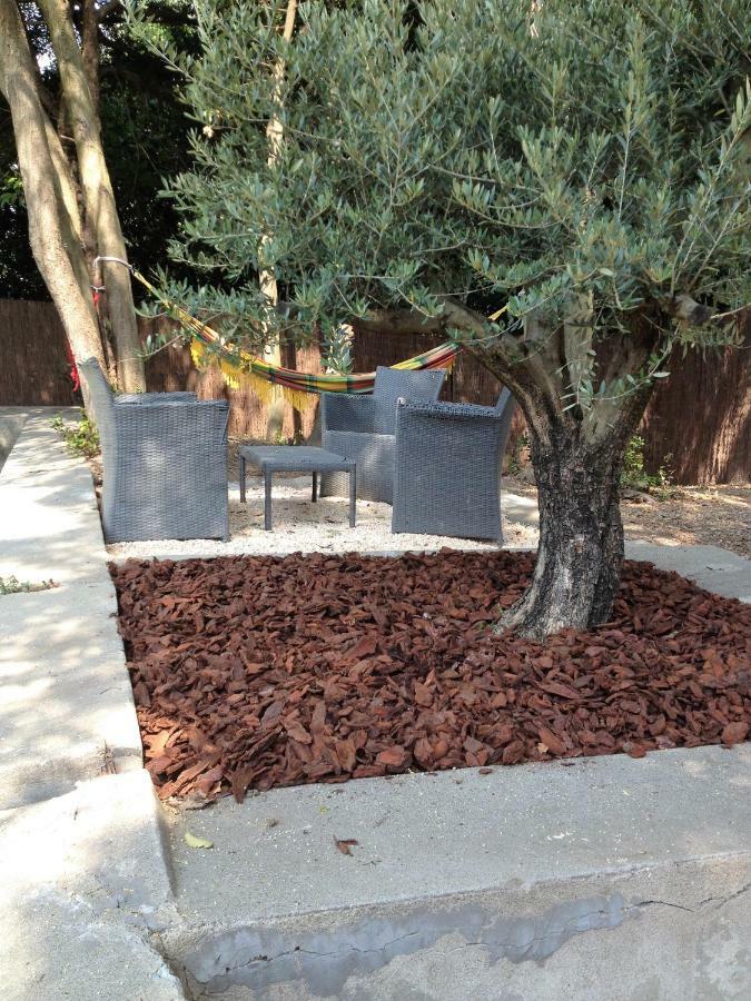 Au Vieux Lavoir Avec Parking Prive, Jardin , Climatisation, A 500 M De La Cite Каркассон Экстерьер фото