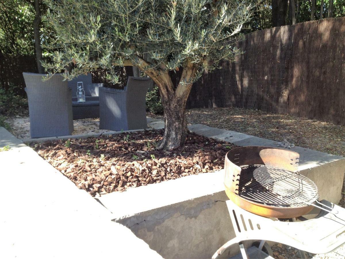 Au Vieux Lavoir Avec Parking Prive, Jardin , Climatisation, A 500 M De La Cite Каркассон Экстерьер фото