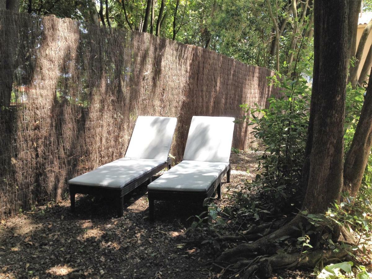Au Vieux Lavoir Avec Parking Prive, Jardin , Climatisation, A 500 M De La Cite Каркассон Экстерьер фото