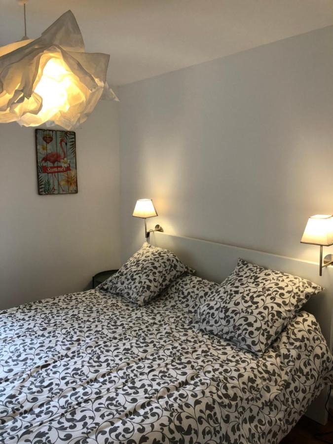 Au Vieux Lavoir Avec Parking Prive, Jardin , Climatisation, A 500 M De La Cite Каркассон Экстерьер фото